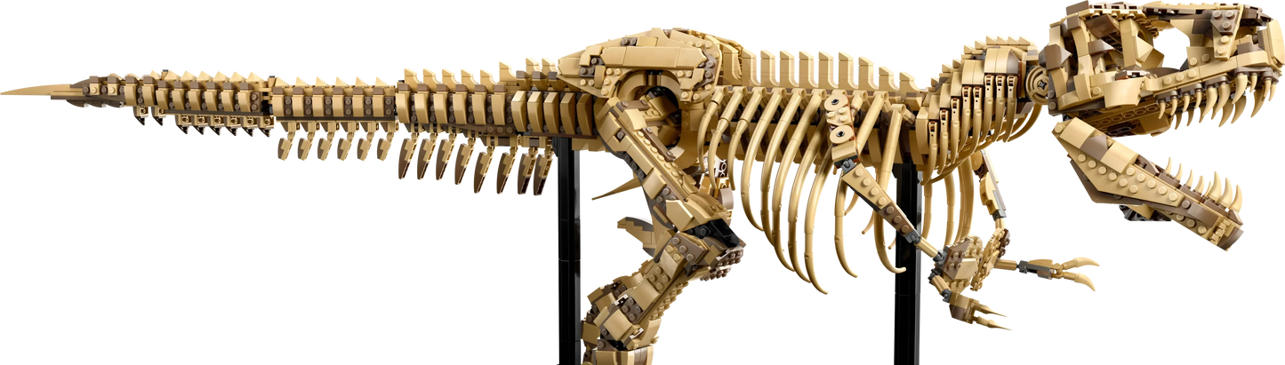 T-Rex Dinosaur Skeleton Fossil - 76968