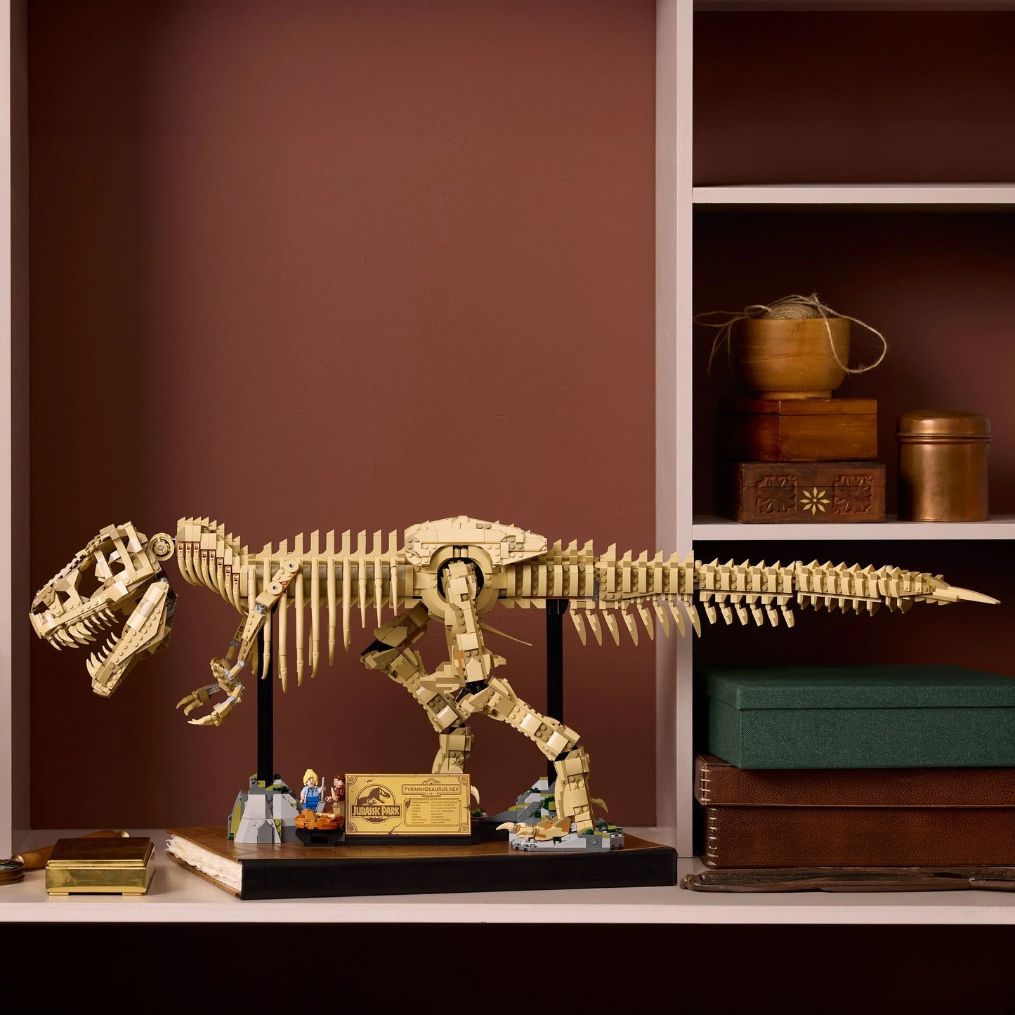 T-Rex Dinosaur Skeleton Fossil - 76968