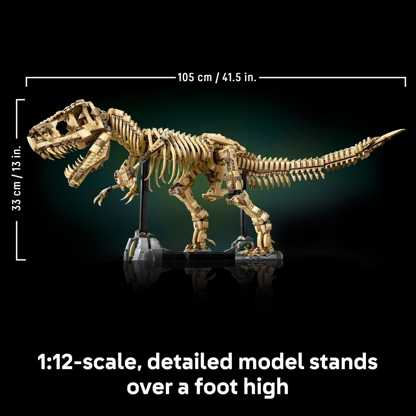 T-Rex Dinosaur Skeleton Fossil - 76968